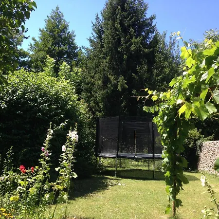 Lilas Et Glycine * Dieulefit